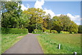 Track across Scaynes Hill Common