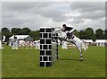 170th Omagh Annual Show (30)