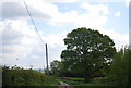 Large Oak tree by Clearwater Lane (Sussex Border Path)