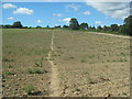 Footpath towards Ide Hill (2)