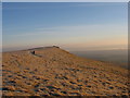 NN9100 : Summit of Andrew Gannell Hill by William Starkey