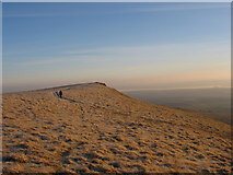 NN9100 : Summit of Andrew Gannell Hill by William Starkey