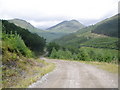 Forestry Road above Glen Goil