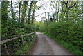 Clearwater Lane (Sussex Border Path) near Hammonds Farm