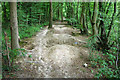 Bike jumps by the Cuckoo Trail