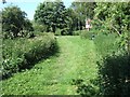 Winfrith Newburgh: riverside walk