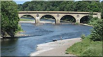 NT8439 : River Tweed from Coldstream by Richard Webb