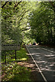 Entering Crampmoor at end of The Straight Mile