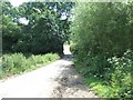 Minor road leading to Clayhanger and Puncknowle