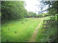 Small field at Tretheague Mill