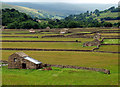 Swaledale Valley Barns