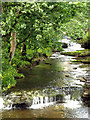 A Stream in Upper Swaledale