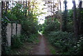 Footpath past the GSK works, Powder Mills