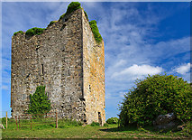 N1322 : Castles of Leinster: Coole, Offaly (2) by Mike Searle
