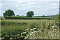 Fields alongside the A60