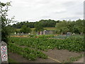 Upper Brailes, allotments