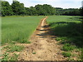 Clearly defined footpath across field to Coes Rough