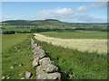 Grass cutting in Glen Isla