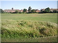 Looking across Whitehall Lane Open Space, Slade Green