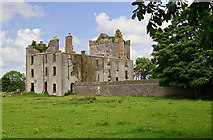 M4614 : Castles of Connacht: Castle Taylor, Galway (1) by Mike Searle