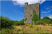 M4307 : Castles of Connacht: Lydacan, Galway (1) by Mike Searle