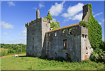 G1818 : Castles of Connacht: Deel, Mayo (2) by Mike Searle