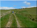 NR6629 : Track across hillside by RH Dengate