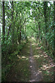 Bridleway to Upper Street, Stansfield