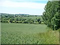 Towards the Fosse Way