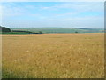 Farmland, Low Cowlam