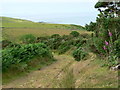 NR6943 : Moorland track above Beacharr by RH Dengate
