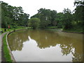 Bracknell: Allsmoor Pond