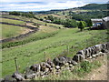 Small valley near Morton Wood