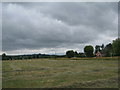 Hay meadow, Corse Lawn