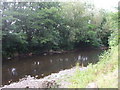 ST2384 : Rhymney River, north of Began, looking north by John Lord