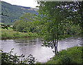 View across the River Tay