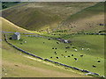 SK1257 : Barn and cattle, Narrowdale by Peter Barr