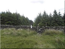 SD9824 : Stile into Sunderland Pasture by Michael Steele