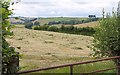 Mown grass field, Hill Lane