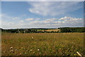 Looking north-west to Flemings Farm