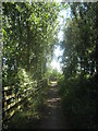 Cyclepath towards Nagden Cottages