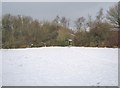 A snowy field looking towards Pingle Croft