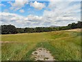 Dowson Playing Fields