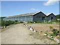 Old MOD sheds at Fairlie