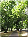 Path beside The Avenue, Southampton