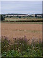 SK7077 : Fields and countryside between Eaton and Gamston by Andrew Hill