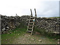 SD8592 : Ladder stile on the Pennine Way by Philip Barker
