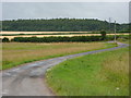 Track from Great Morton towards Mansfield Road