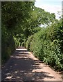 Lane near Woodmanton