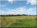 The harbour line in Wells-next-the-Sea